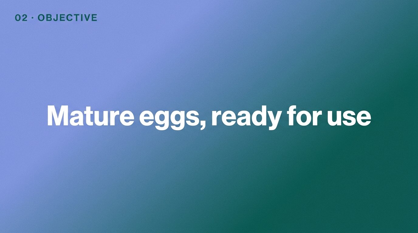 Mature eggs, ready for use — variant B