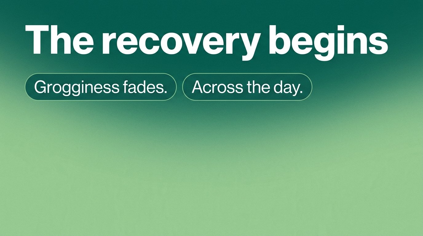 The recovery begins — variant C