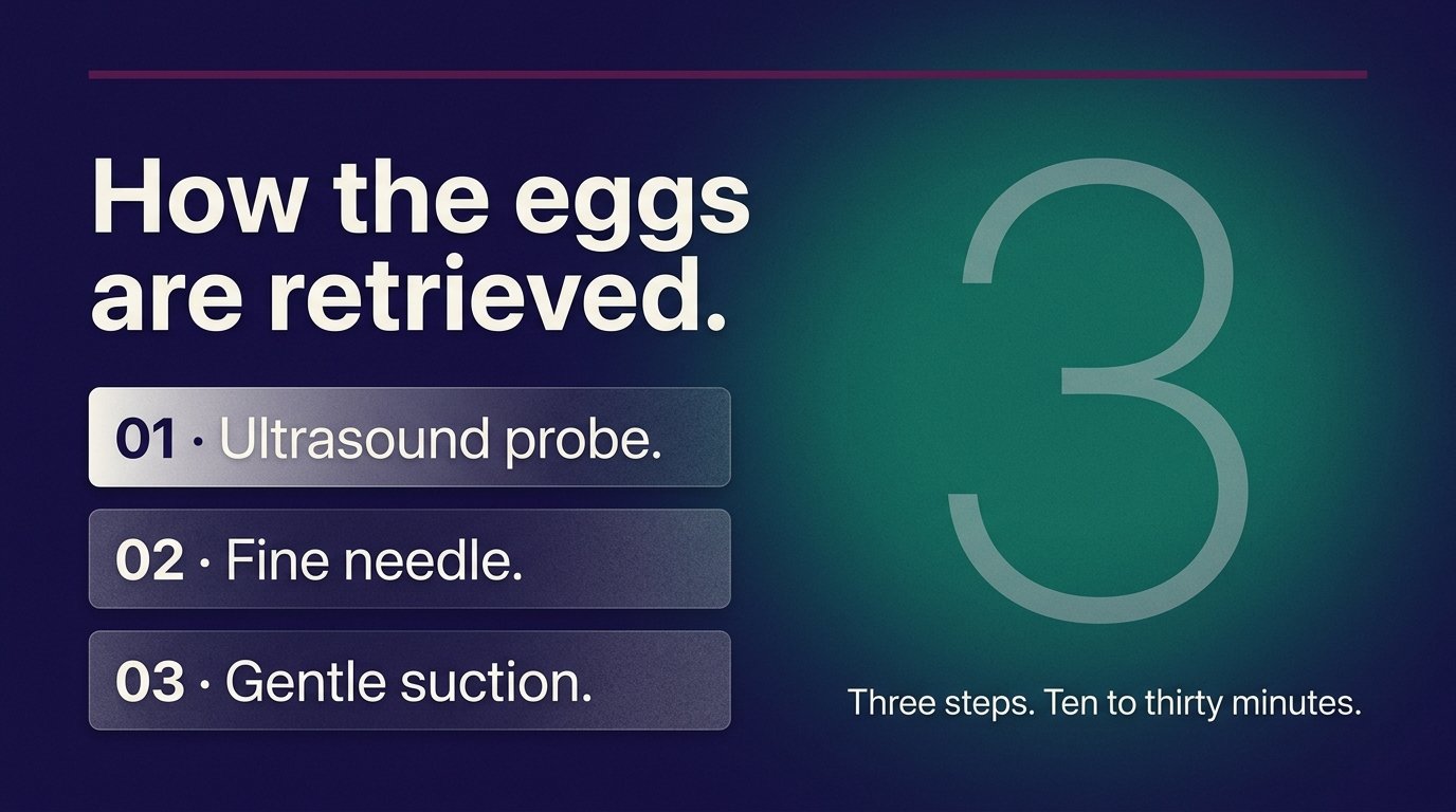 How the eggs are retrieved — variant C